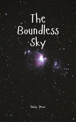 Cover image for The Boundless Sky
