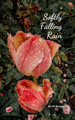 Cover image for Softly Falling Rain
