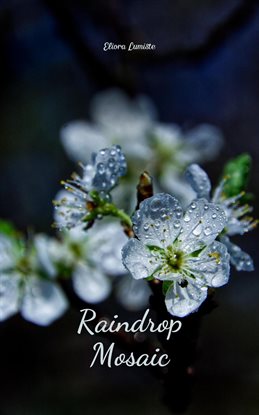 Imagen de portada para Raindrop Mosaic