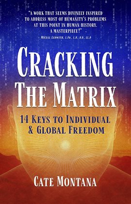 Cover image for Cracking the Matrix