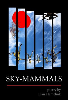 Cover image for Sky-Mammals
