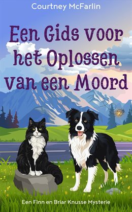 Een Gids voor het Oplossen van een Moord