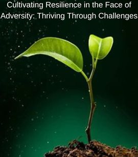 Cover image for Cultivating Resilience in the Face of Adversity