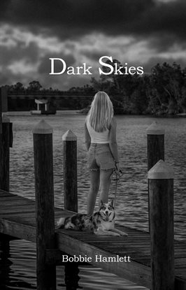 Cover image for Dark Skies