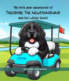 Imagen de portada para The First Year Adventures of Theodore the Newfoundland and His White Socks