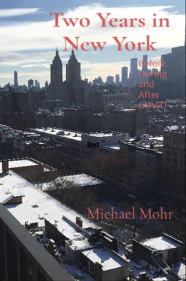 Cover image for Two Years in New York
