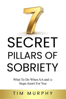 Imagen de portada para 7 Secret Pillars of Sobriety