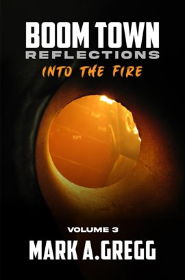 Imagen de portada para Into the Fire (Boom Town Reflections Volume 3)