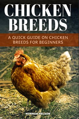 Cover image for Chicken Breeds