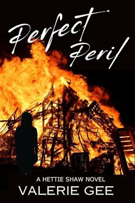 Imagen de portada para Perfect Peril