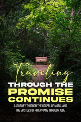 Imagen de portada para Travelling Through the Promise Continues