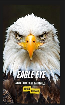 Imagen de portada para Eagle Eye