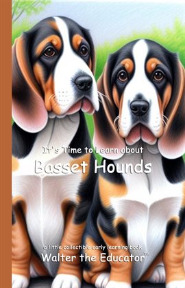 It's Time to Learn About Basset Hounds