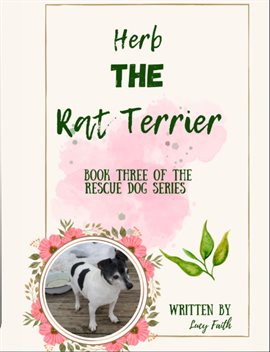 Herb the Rat Terrier