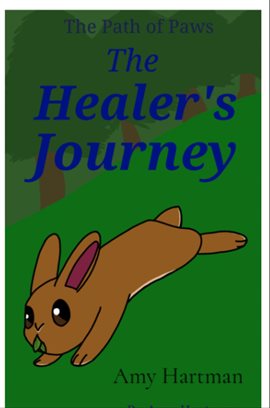 The Healers Journey The Healers Journey