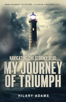 Cover image for Navigating the Stormy Seas