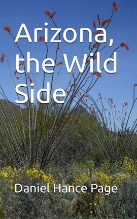 Cover image for Arizona, the Wild Side