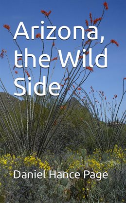 Imagen de portada para Arizona, the Wild Side