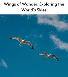 Cover image for Wings of Wander