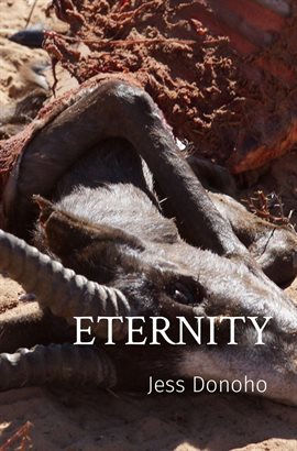 Cover image for Eternity