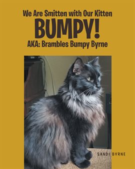 Cover image for We Are Smitten With Our Kitten Bumpy! AKA: Brambles Bumpy Byrne