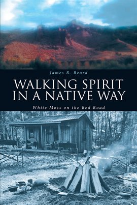 Cover image for Walking Spirit in a Native Way