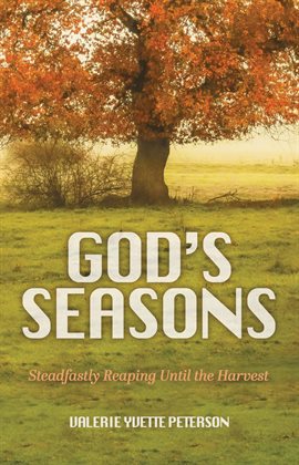 Cover image for God's Seasons