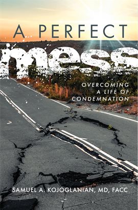 Cover image for A Perfect Mess