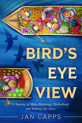 Cover image for Bird's Eye View