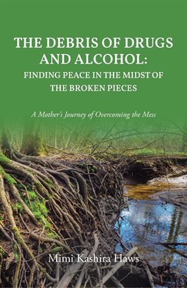 Cover image for The Debris of Drugs and Alcohol: Finding Peace in the Midst of the Broken Pieces