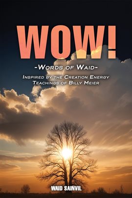 Imagen de portada para Wow: Words of Waid