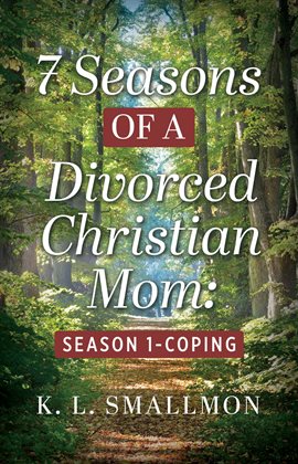 Cover image for 7 Seasons of a Divorced Christian Mom