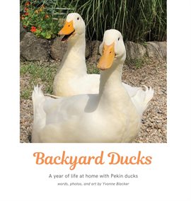 Cover image for Backyard Ducks