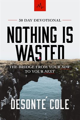 Cover image for Nothing Is Wasted