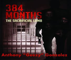 Cover image for 384 Months