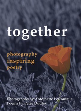 Cover image for Together