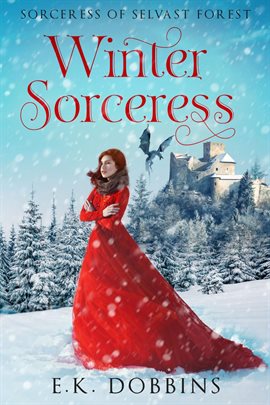 Cover image for Winter Sorceress