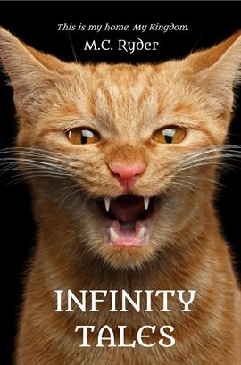 Cover image for Infinity Tales