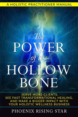 Cover image for The Power of the Hollow Bone
