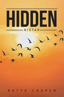 Cover image for Hidden