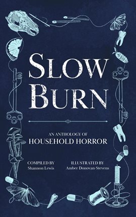 Cover image for Slow Burn