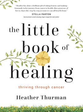 Cover image for The Little Book of Healing