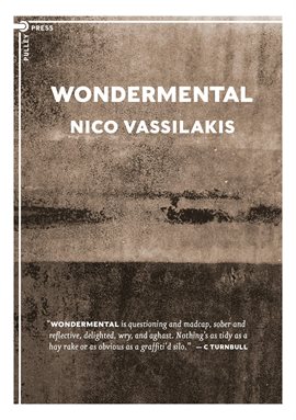 Cover image for Wondermental