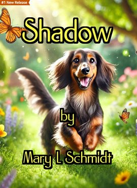 Shadow