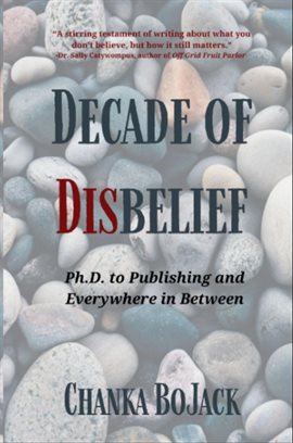 Imagen de portada para Decade of Disbelief