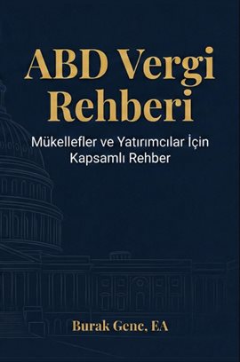 ABD Vergi Rehberi