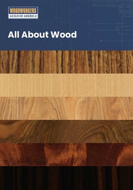 Session 10: Hardwood vs Softwood