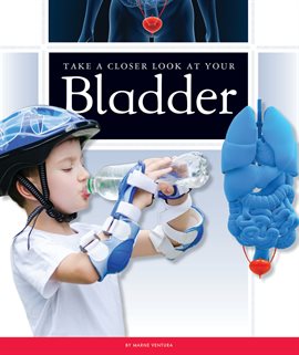 Cover image for Take a Closer Look at Your Bladder