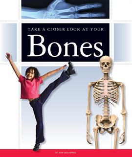 Umschlagbild für Take a Closer Look at Your Bones