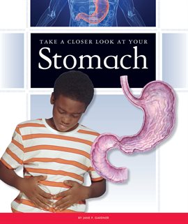 Cover image for Take a Closer Look at Your Stomach